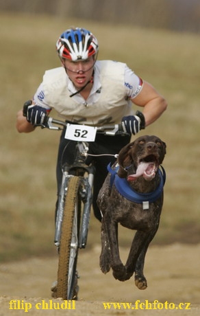 Bakonybel - 0153.JPG